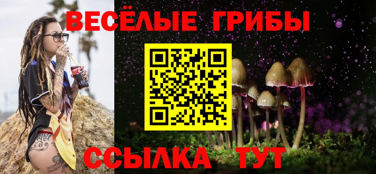 Псилоцибиновые грибы мухоморы Елец