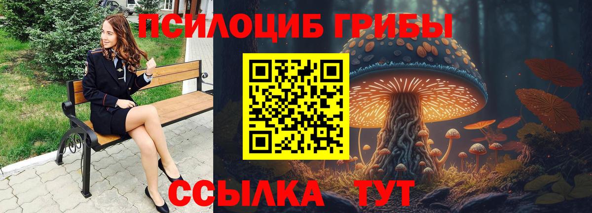 Галлюциногенные грибы MAGIC MUSHROOMS  сколько стоит  Елец  Вход с VPN  Галлюциногенные грибы GOLDEN TEACHER 